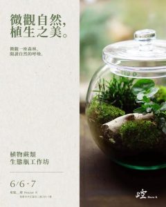 Read more about the article 崆書屋舉辦【微觀自然˙植生之美】 植生瓶創作活動，邀請大家參與!